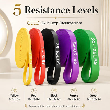 Professional Resistance Bands Set of 5 for Strength Training, Stretching, and Physical Therapy - Heavy Duty Pull Up Assistance Bands for Home Gym Workouts for Men and Women