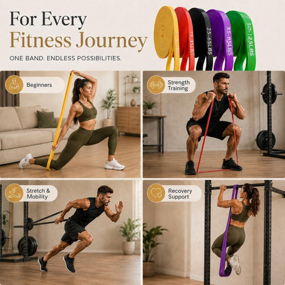 Professional Resistance Bands Set of 5 for Strength Training, Stretching, and Physical Therapy - Heavy Duty Pull Up Assistance Bands for Home Gym Workouts for Men and Women