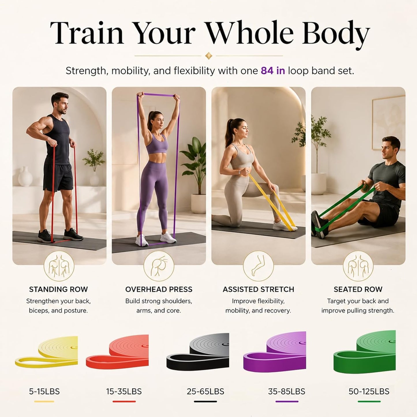 Professional Resistance Bands Set of 5 for Strength Training, Stretching, and Physical Therapy - Heavy Duty Pull Up Assistance Bands for Home Gym Workouts for Men and Women