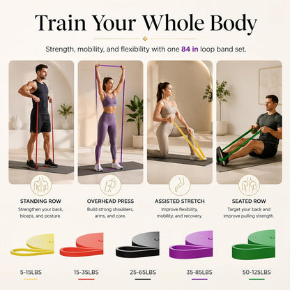 Professional Resistance Bands Set of 5 for Strength Training, Stretching, and Physical Therapy - Heavy Duty Pull Up Assistance Bands for Home Gym Workouts for Men and Women